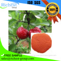Best Quality VC 17% acerola cherry extract powder